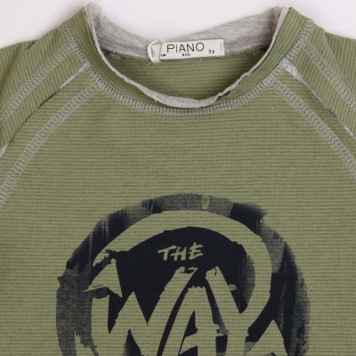 تیشرت یکرو پنبه پسرانه سبز فرمی 05539 3Y