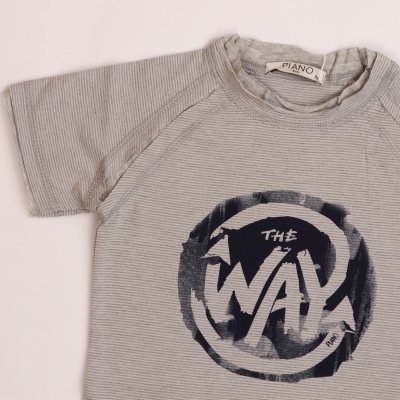 تیشرت یکرو پنبه پسرانه خاکستری 05539 3Y