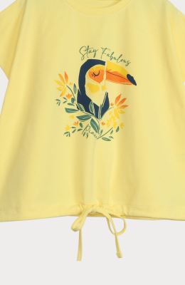 تیشرت یکرو لایکرا دمپا گت دار