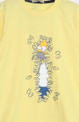 تیشرت یکرو اسلپ