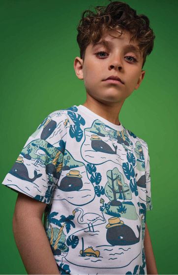 تیشرت یکرو لایکرا تمام چاپ هاوایی