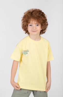 تیشرت یکرو لایکرا آستین رگلان