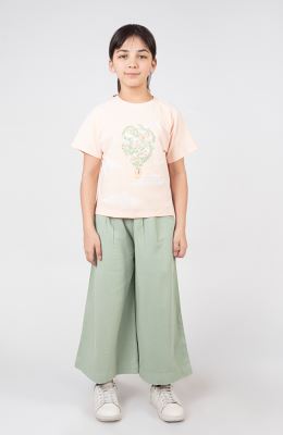 تیشرت یکرولایکرا آستین رگلان