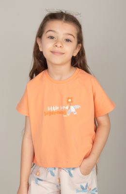 تیشرت یکرولایکرا (ست با کد 10651)