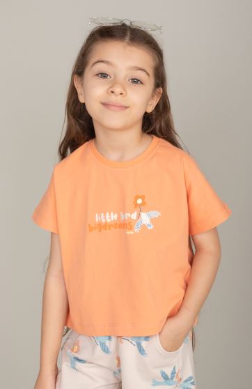 تیشرت یکرولایکرا (ست با کد 10651)