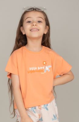 تیشرت یکرولایکرا (ست با کد 10651)