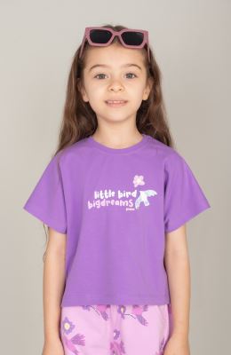 تیشرت یکرولایکرا (ست با کد 10651)