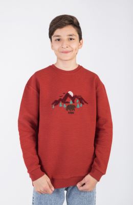 بلوز ژاکارد فیتیله‌ای  راه راه آستین افتاده