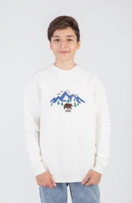 بلوز ژاکارد فیتیله‌ای  راه راه آستین افتاده