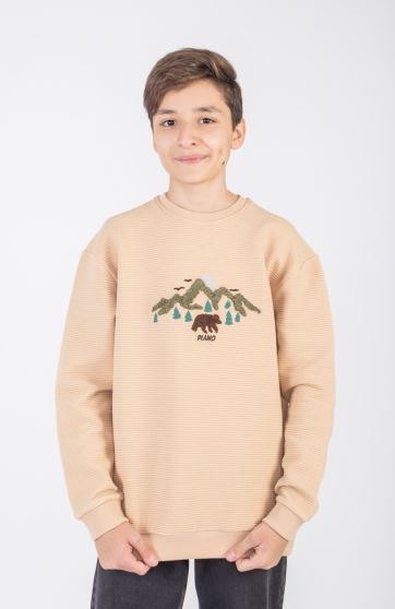 بلوز ژاکارد فیتیله‌ای  راه راه آستین افتاده