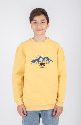 بلوز ژاکارد فیتیله‌ای  راه راه آستین افتاده