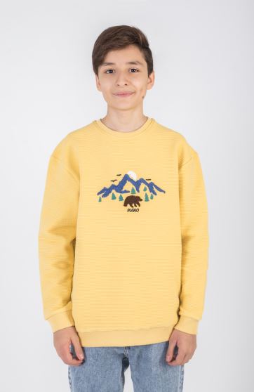 بلوز ژاکارد فیتیله‌ای  راه راه آستین افتاده