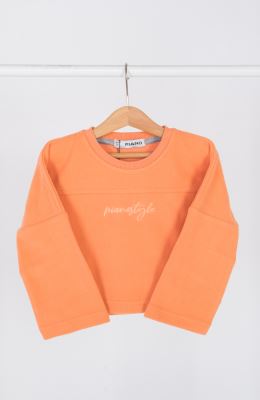 تیشرت آستین بلند پلار مخملی (ست با کد 10764)