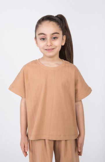 تیشرت ژاکارد طرح گندمی (ست با کد 10792)